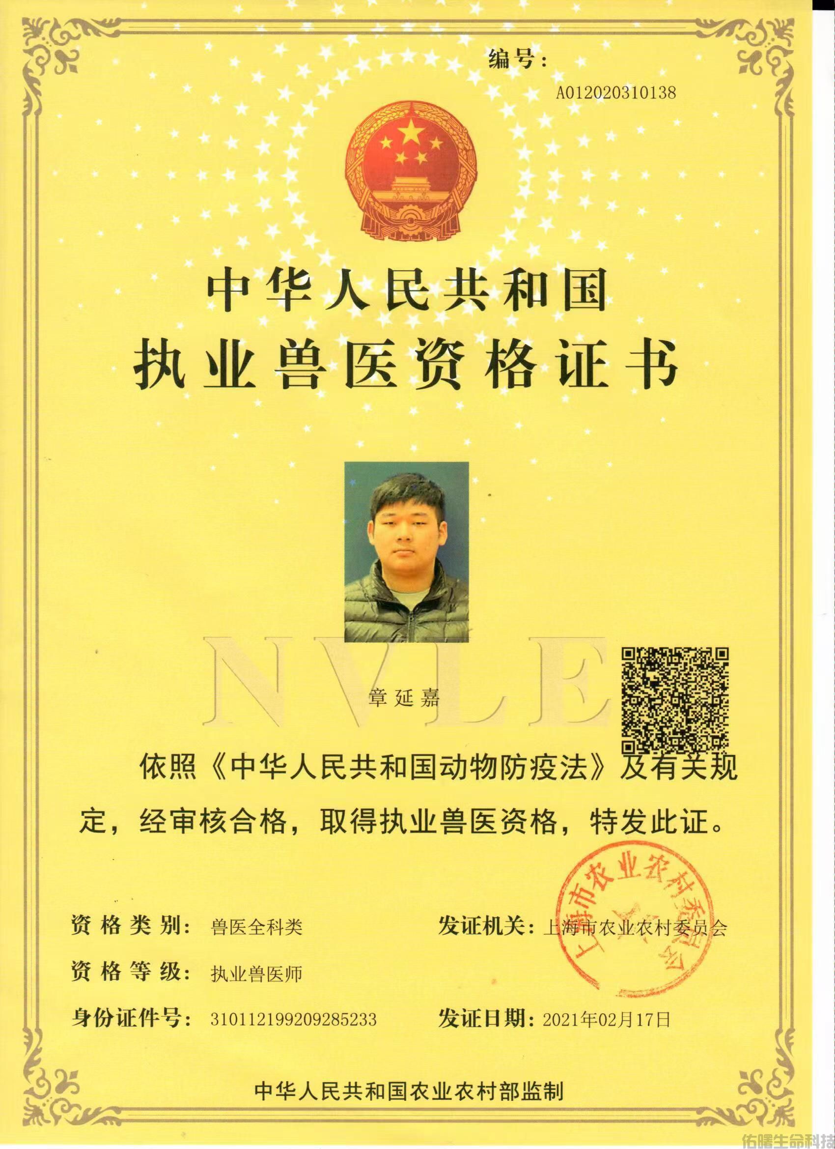 2-22122Q61125517.jpg