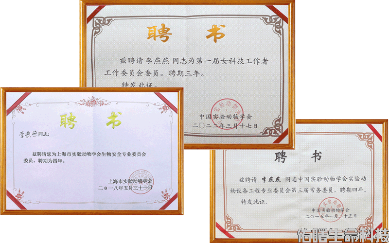 李燕燕证书.png
