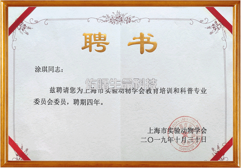 涂琪1.png