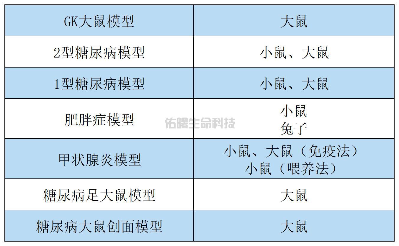 服务项目_内分泌系统(1).jpg