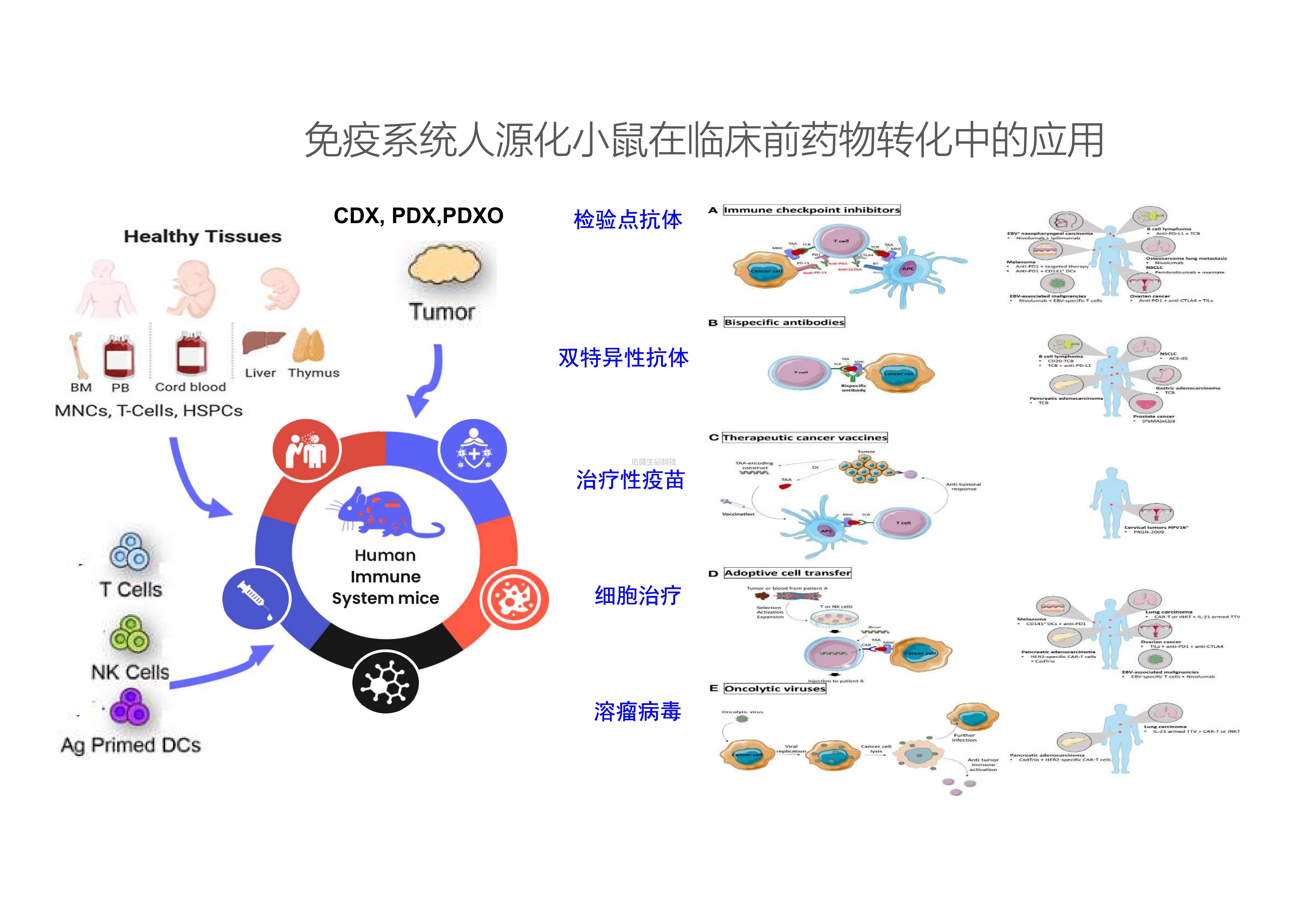 未来模式及其产品一分钟介绍_01(1).jpg